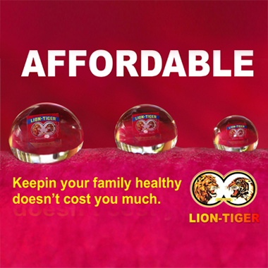 Affordable household protection