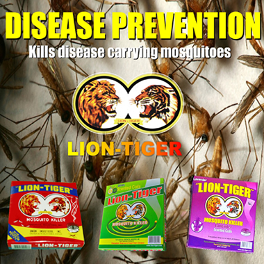 Mosquito-borne disease prevention